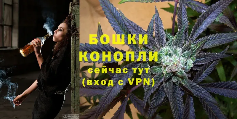 купить закладку  Корсаков  Канабис White Widow 